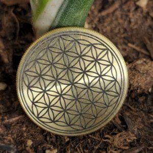 Flower of Life Coin