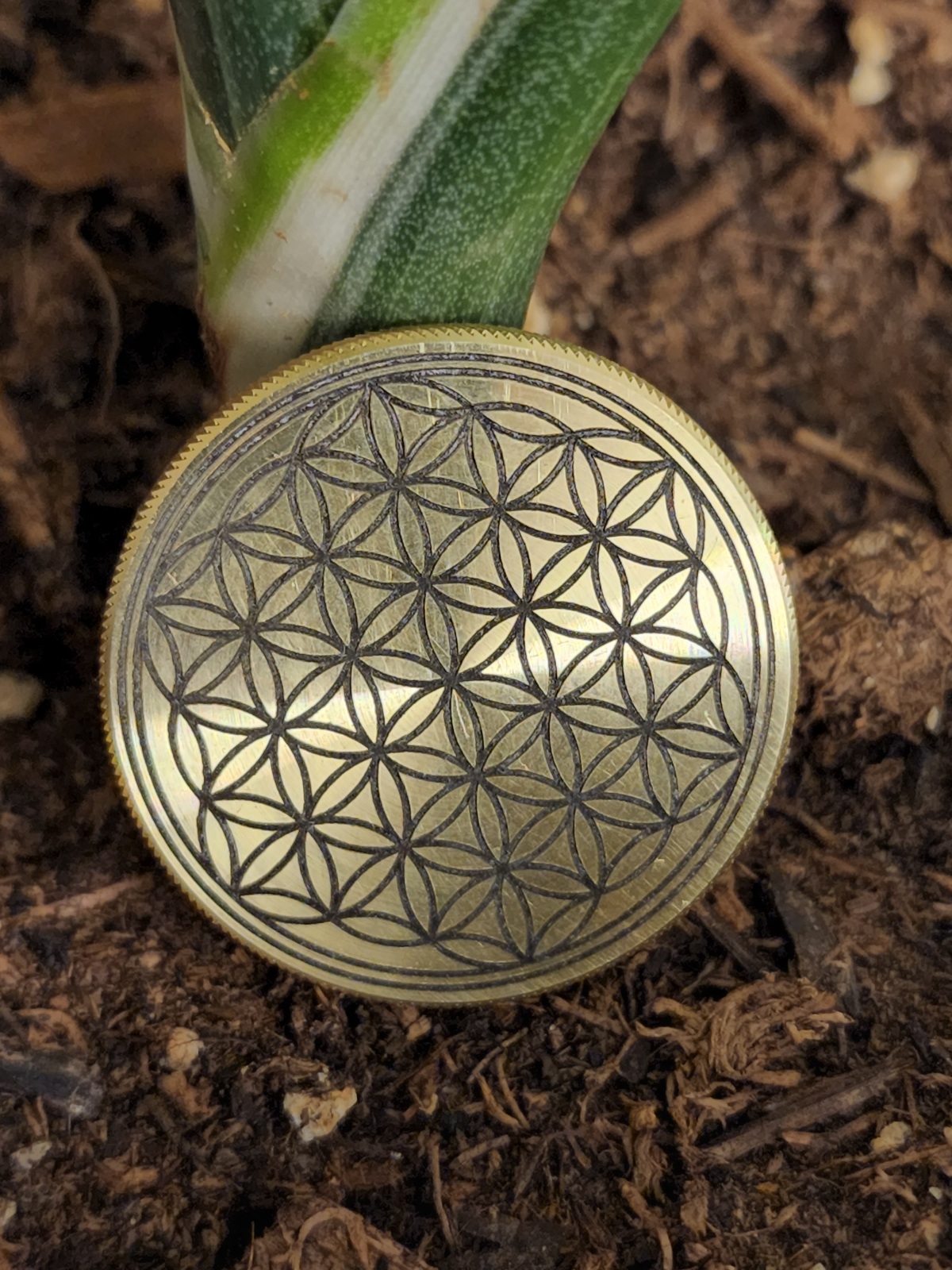 30mm Flower of Life Coin - Watson Creations