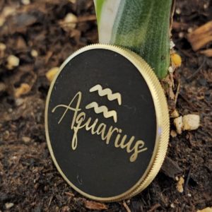 Aquarius Zodiac Coin – 30mm Brass Astrology Token