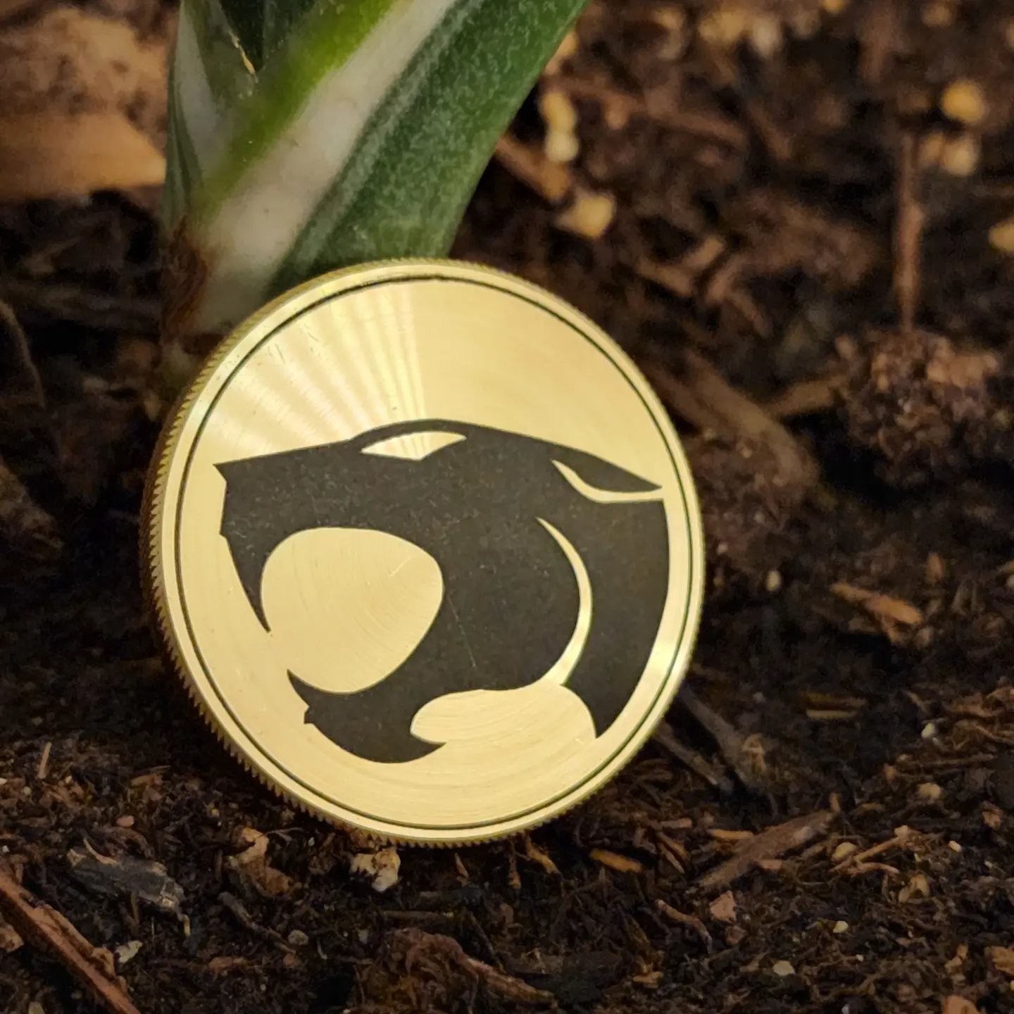 Thundercats Coin