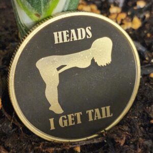 Adult-Flip-Coin